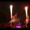 Disney 395