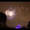 Disney 415