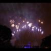 Disney 421