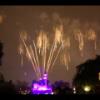 Disney 434