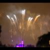 Disney 435