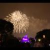 Disney 441