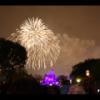 Disney 442