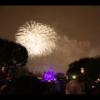 Disney 447