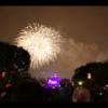 Disney 448