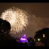 Disney 449
