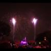 Disney 455