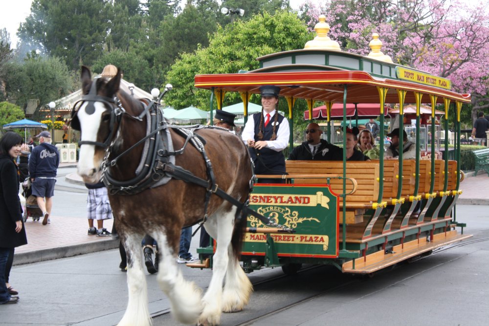 Main Street Trolley