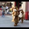 Disney 091