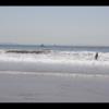 Venice Beach 096