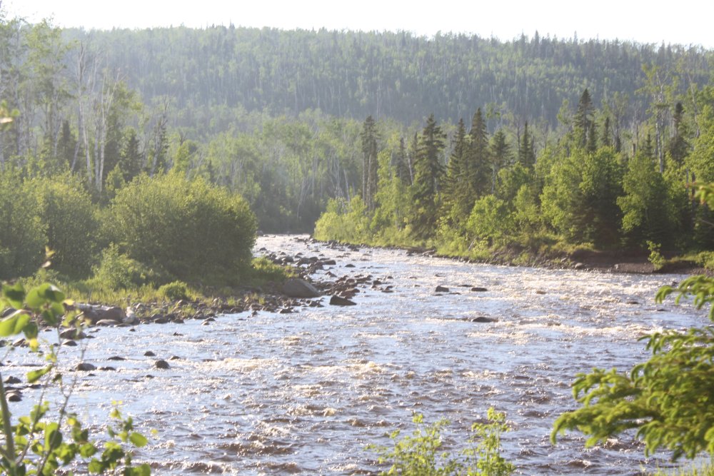 Temperance River