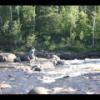 Temperance River