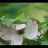 2012-05-10-173250