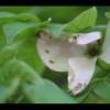 2012-05-10-173251