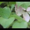 2012-05-10-173344