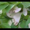 2012-05-10-173404