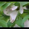 2012-05-10-173404_2