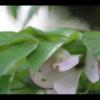 2012-05-10-173405