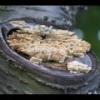 2012-05-10-173605