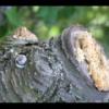 2012-05-10-173620