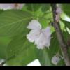 2012-05-10-173640_2