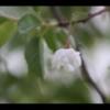2012-05-10-173903