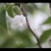 2012-05-10-173903_2