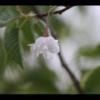 2012-05-10-173915_2
