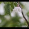 2012-05-10-173931_2