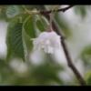 2012-05-10-173931_3