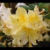 2012-05-10-174505