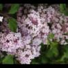 2012-05-10-174525