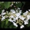 2012-05-10-174548