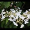 2012-05-10-174548_2