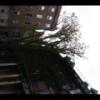 2012-05-10-181435