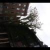 2012-05-10-181440