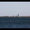 Provincetown Harbor