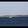 Provincetown Harbor