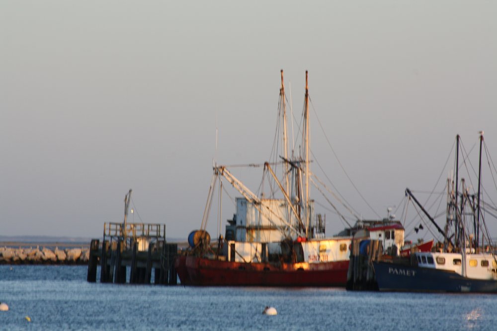 Provincetown Harbor