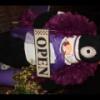 Purple Feather