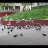 2012-05-08-140431