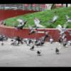 2012-05-08-140512