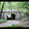 Central Park