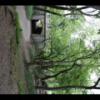 Central Park