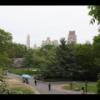 Central Park