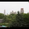 Central Park