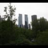 Central Park