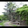 Central Park
