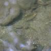 20150824112118_IMG_1335
