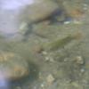 20150824112231_IMG_1337